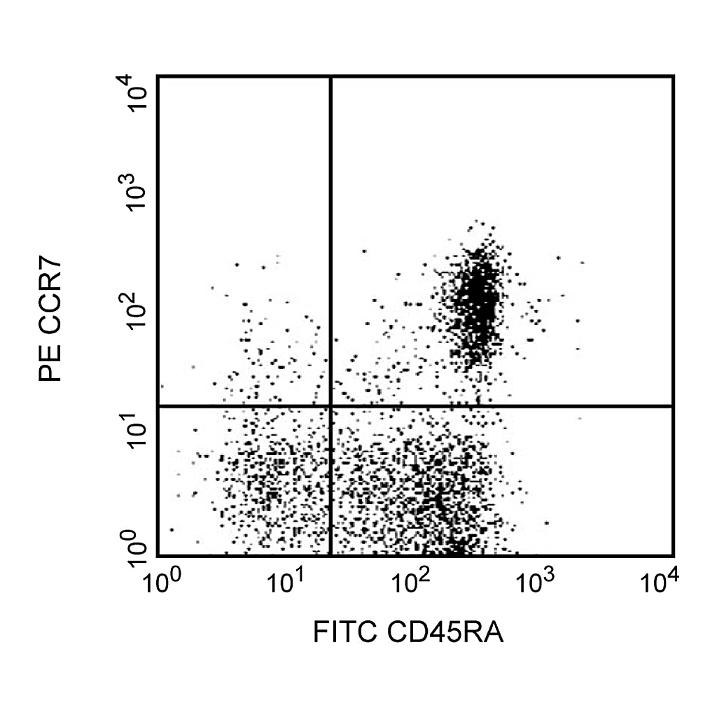 BD PE Rat Anti-Human CCR7 (CD197)