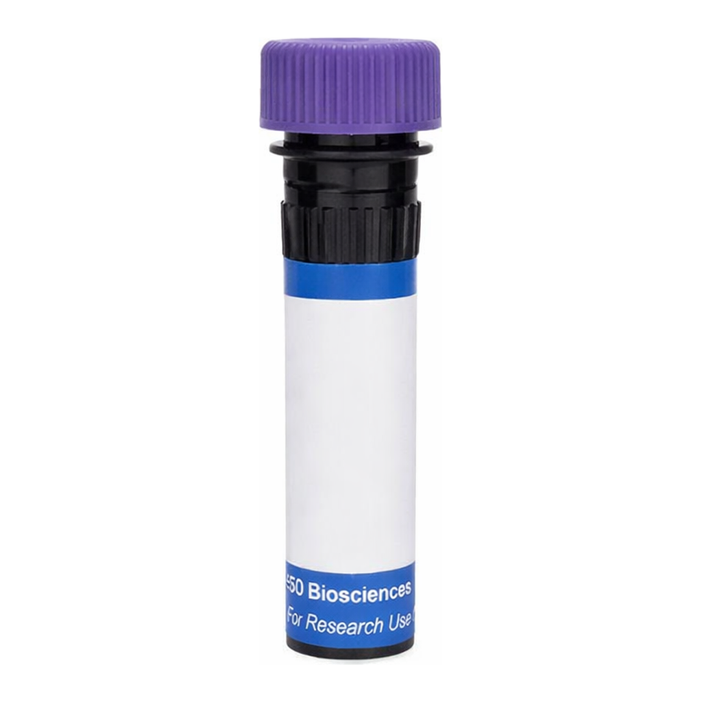 BD RB744 Mouse Anti-Human Integrin α11