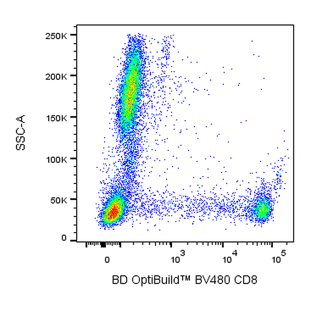 BD BV480 Mouse Anti-Human CD8