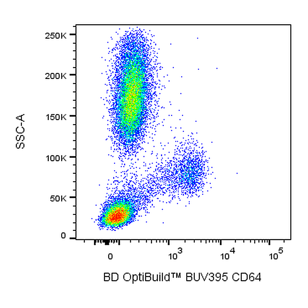BD BUV395 Mouse Anti-Human CD64