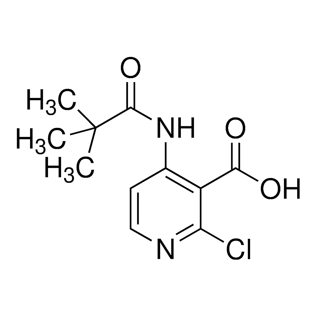 Merck 2-Chloro-4-pivalamidonicotinic acid