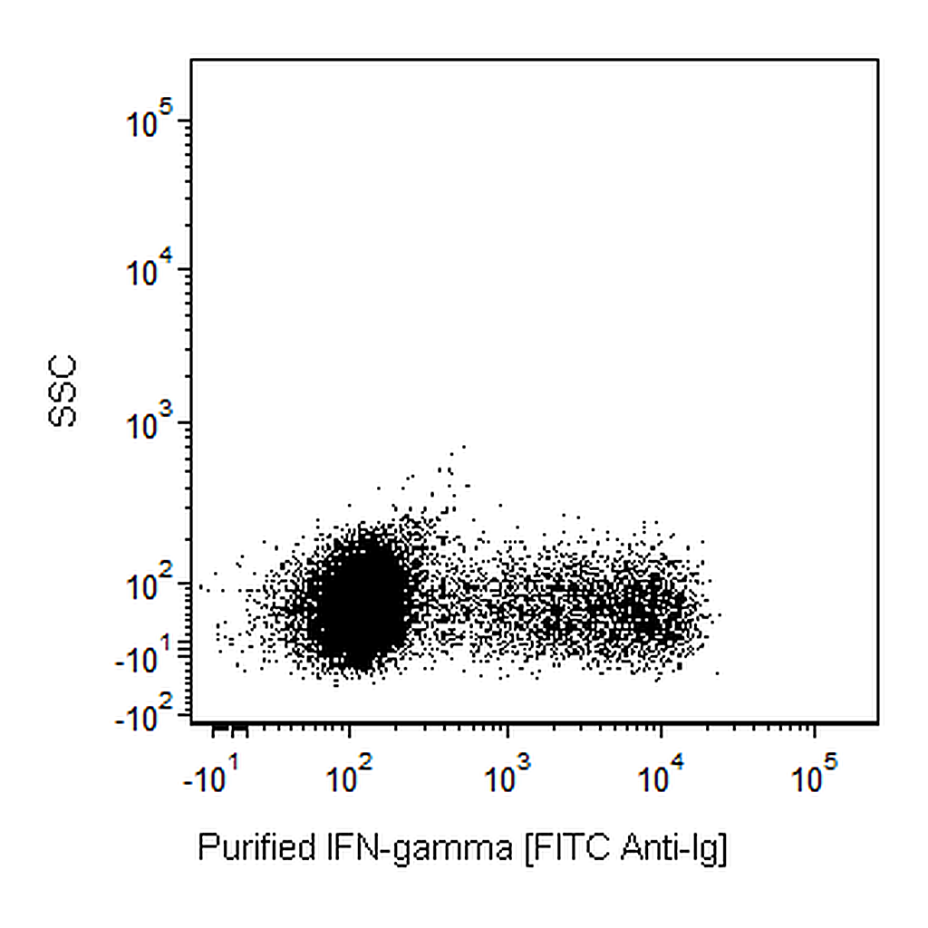 BD Purified Mouse Anti-Human IFN-γ