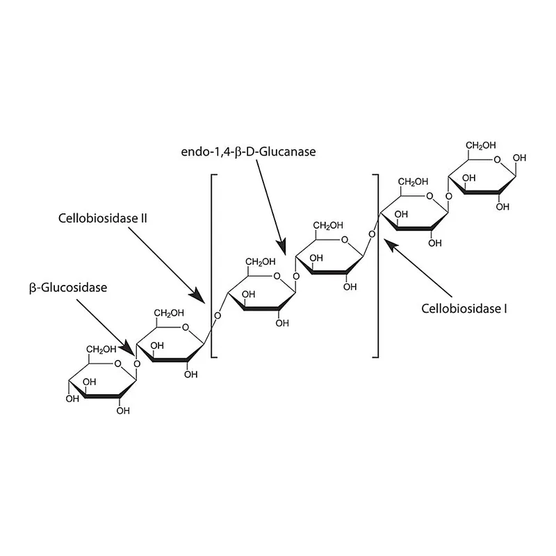 Merck beta-Glucosidase from almonds