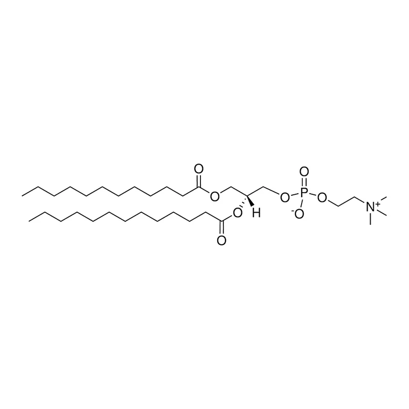 Merck 12:0-13:0 PC