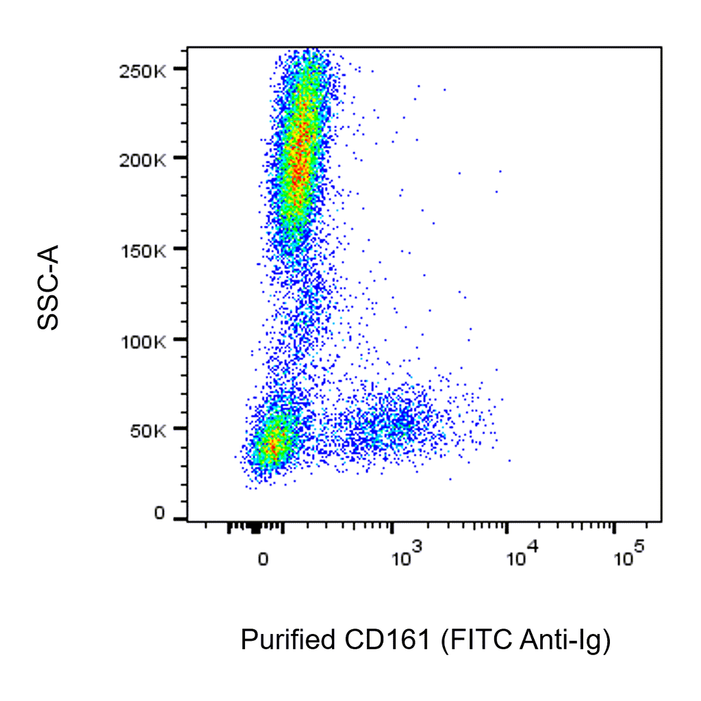 BD Purified Mouse Anti-Human CD161