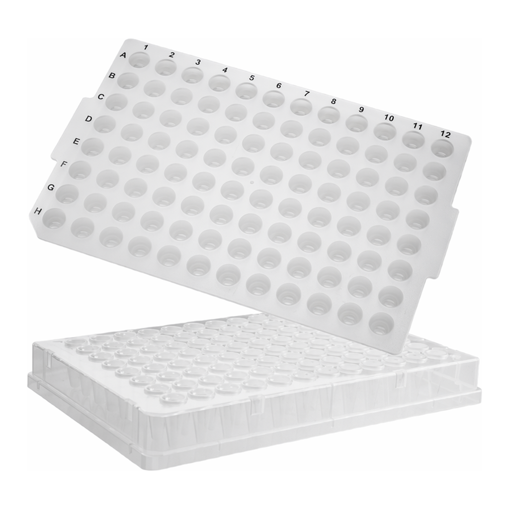 Axygen 96-Well PCR Microplates 96 PCR 플레이트_ AX.PCR-96-FS-C