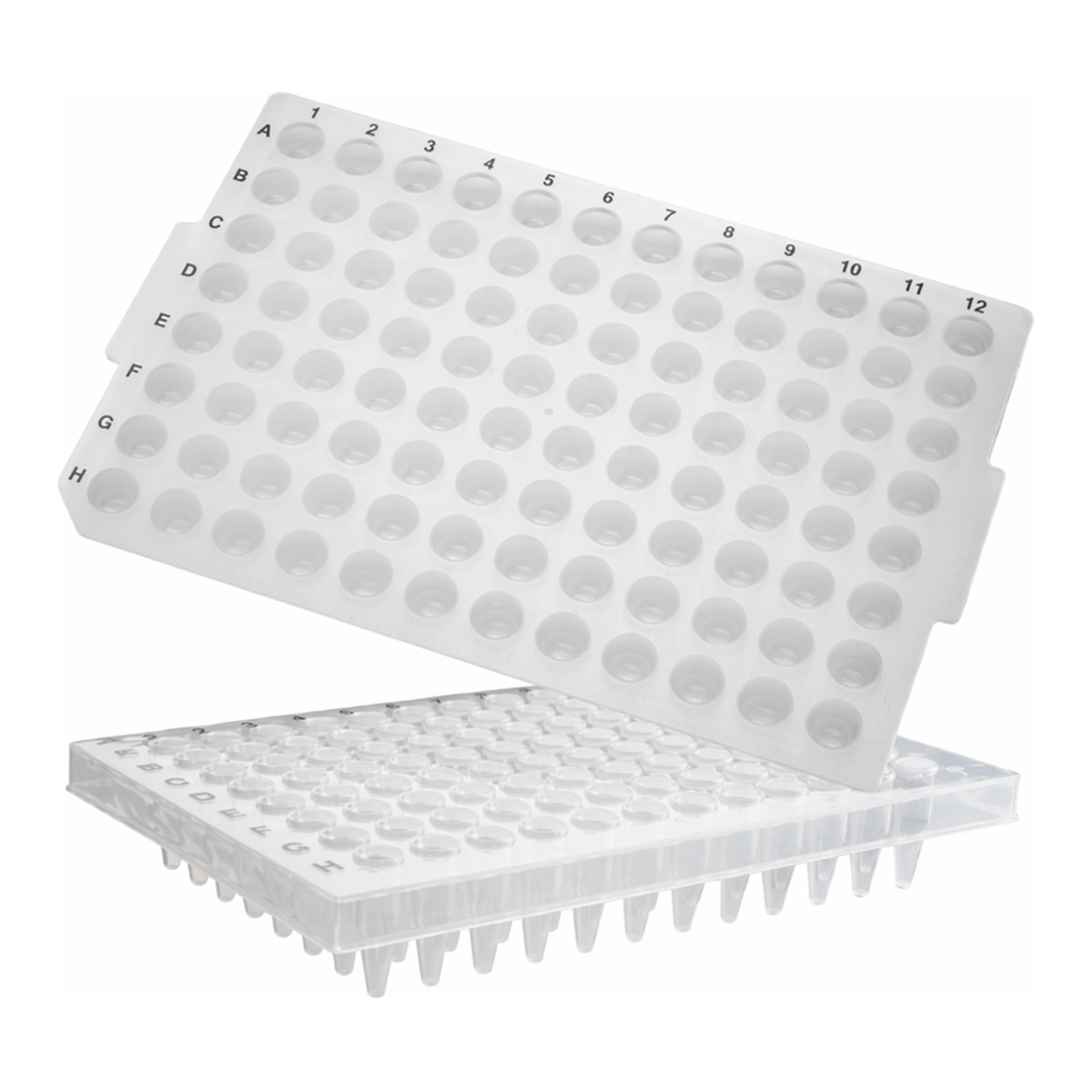 Axygen 96-well PCR Microplates_ Half Skirt _200μL  96 PCR 플레이트_AX.PCR-96M2-HS-C