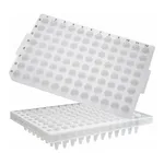 Axygen 96-well PCR Microplates_ Half Skirt _200μL 96 PCR 플레이트_AX.PCR-96M2-HS-C