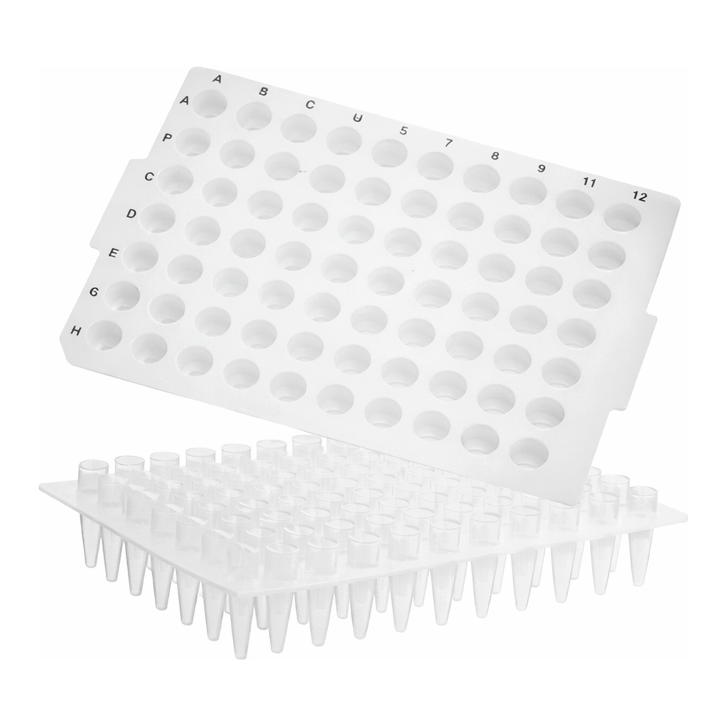 Axygen 96-well PCR Microplates_ No Skirt, Elevated Wells 96 PCR 플레이트_AX.PCR-96-C