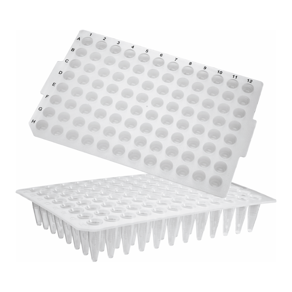 Axygen 96-well PCR Microplates_ No Skirt, Flat Top 96 PCR 플레이트_AX.PCR-96-FLT-C
