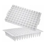 Axygen 96-well PCR Microplates_ No Skirt, Flat Top 96 PCR 플레이트_AX.PCR-96-FLT-C