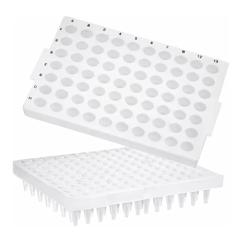 Axygen 96-well PCR Microplates96 PCR 플레이트_AX.PCR-96-SG-C