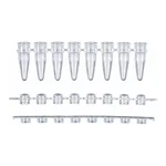 Axygen 0.1ml 8-Strips PCRⓇ Caps & Tubes PCR 8 스트립 튜브