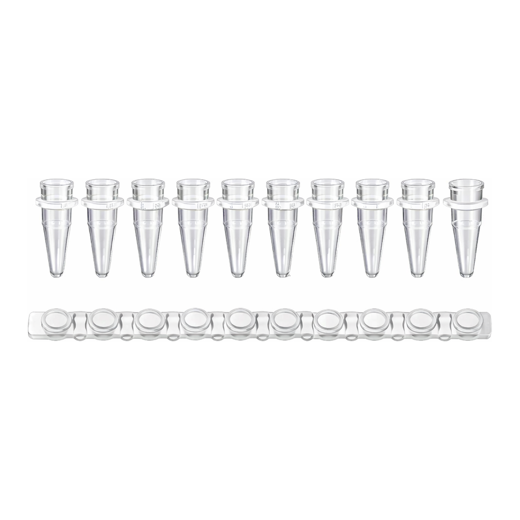 Axygen 0.2ml 12-Strips PCRⓇ Tubes with Flat cap PCR 12 스트립 튜브