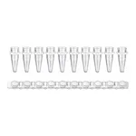 Axygen 0.2ml 12-Strips PCRⓇ Tubes with Flat cap PCR 12 스트립 튜브