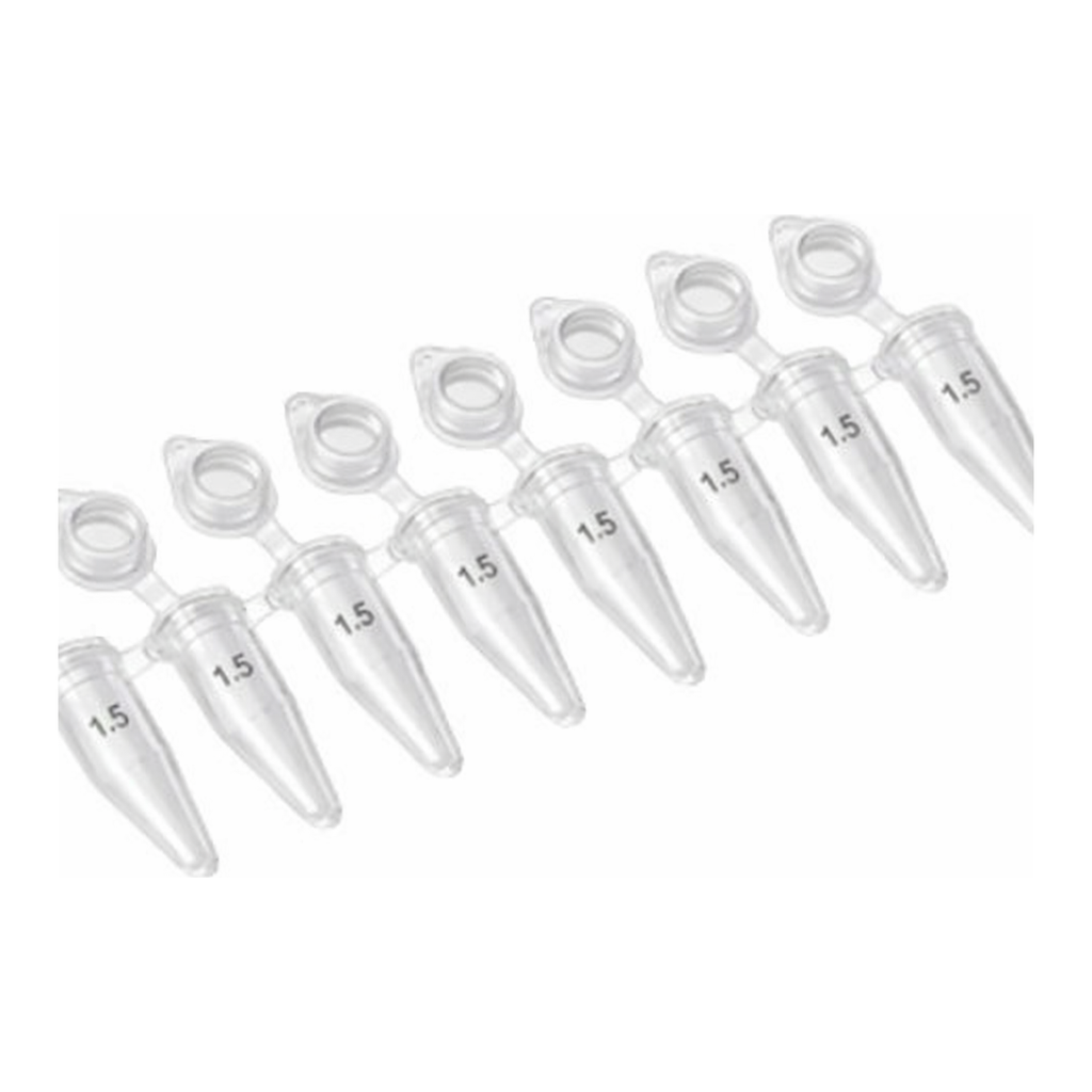 Axygen 0.2ml 8-Strip and Individual PCRⓇ Tubes PCR 8스트립 튜브,개별캡