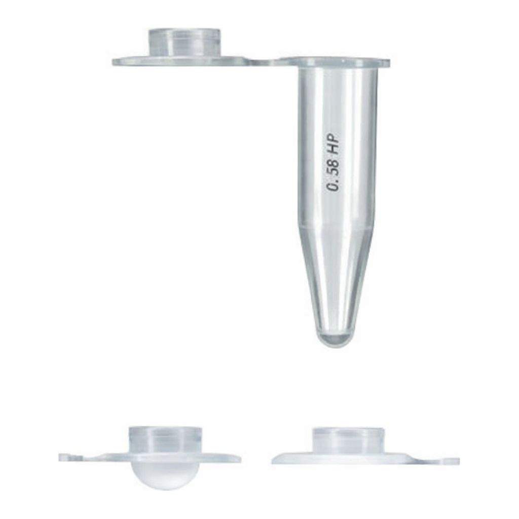 Axygen 0.5 ml PCRⓇ Tubes_Flat Cap PCR 0.5ml 튜브