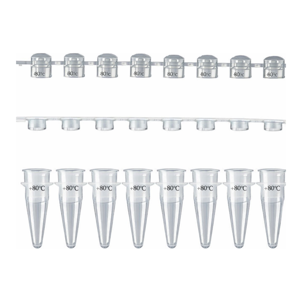 Axygen Axygen 0.2ml 8-Strips PCRⓇ Tubes PCR 8스트립 튜브