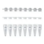 Axygen Axygen 0.2ml 8-Strips PCRⓇ Tubes PCR 8스트립 튜브
