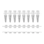 Axygen Axygen 0.2ml 8-Strips PCRⓇ Tubes & Caps PCR 8스트립 튜브,캡