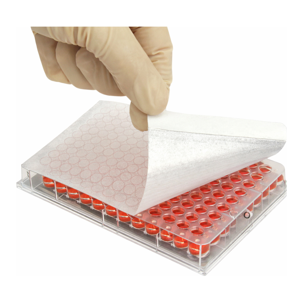 Axygen Adhesive Films 접착성 필름_AX.BF-400