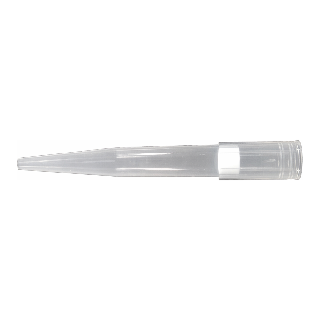 Axygen 100-1000ul Filter Tip Racks Wide Bore : 1000ul 클리어 와이드보어 필터 팁