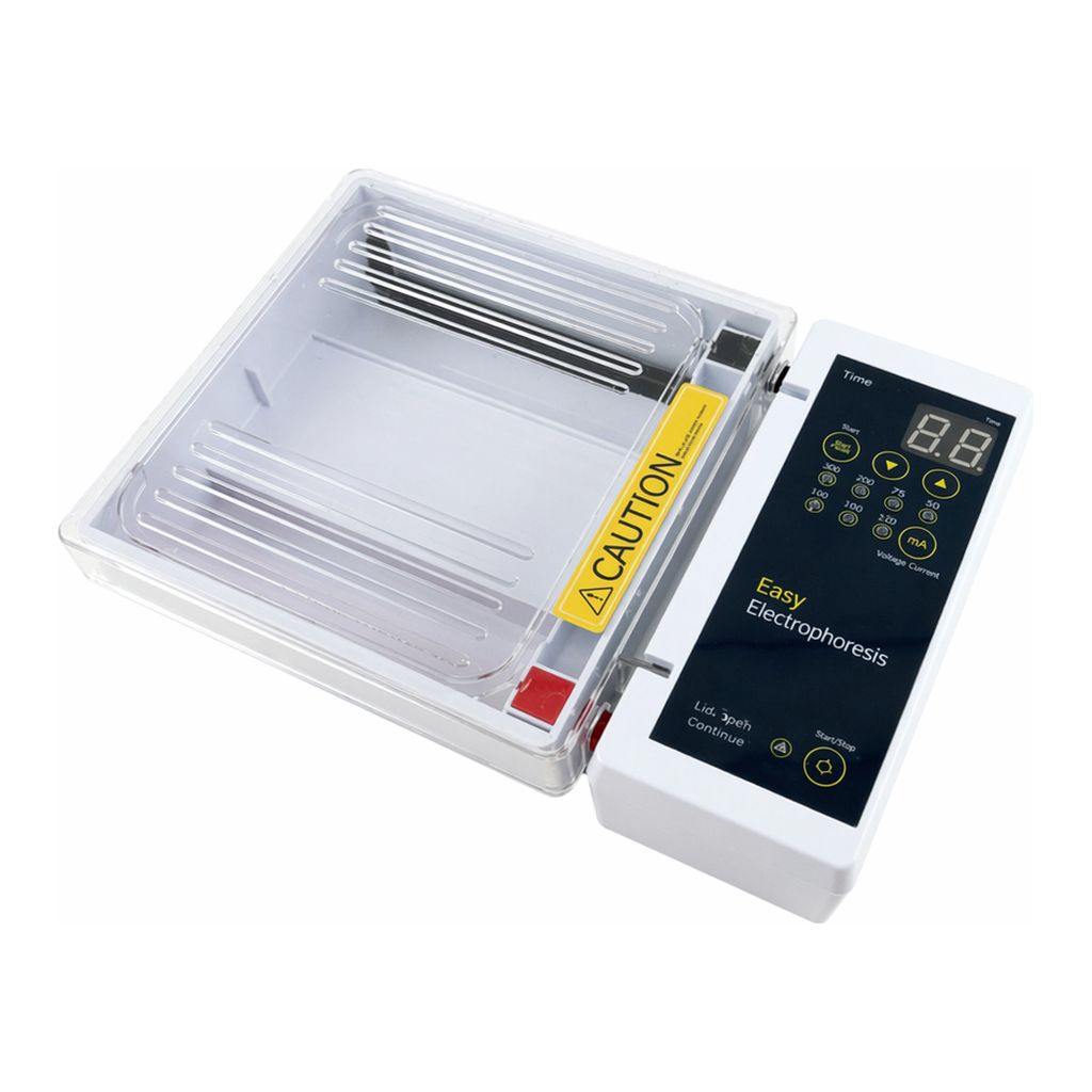 고려에이스 Easy Electrophoersis Lab Touch™ 전기영동기