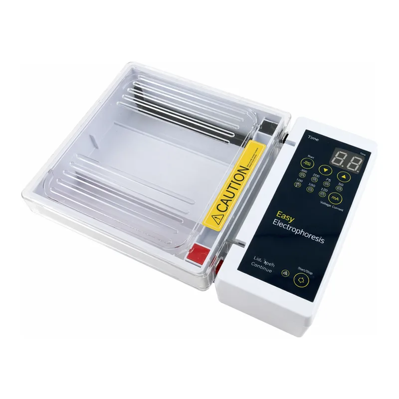 고려에이스 Easy Electrophoersis Lab Touch™ 전기영동기