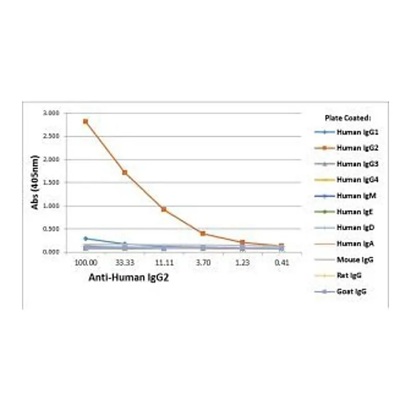 Thermo Fisher Scientific Rabbit anti-Human IgG2 Recombinant Secondary Antibody, Biotin