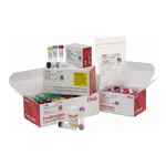 Thermo Fisher Scientific GeneRacer Kit with SuperScript III RT and TOPO TA Cloning Kit for Sequencing