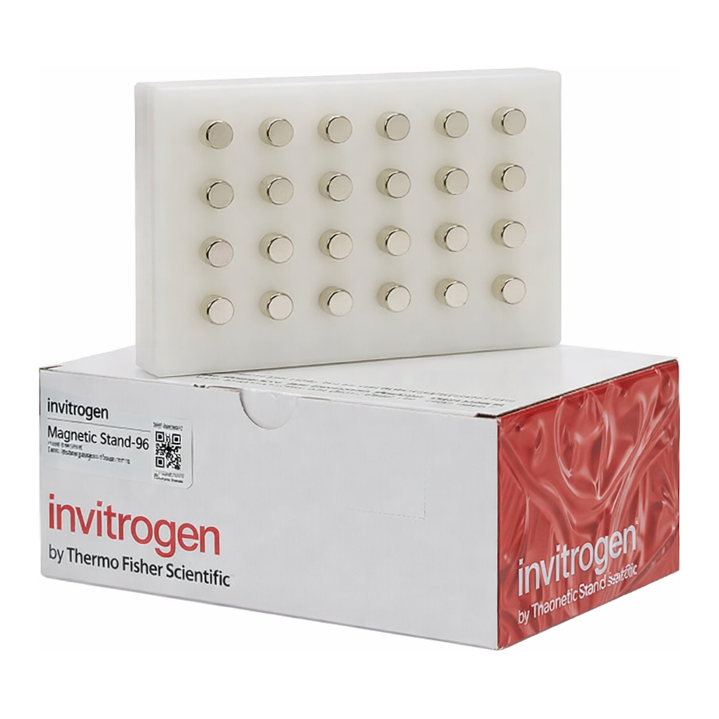 Thermo Fisher Scientific Magnetic Stand-96