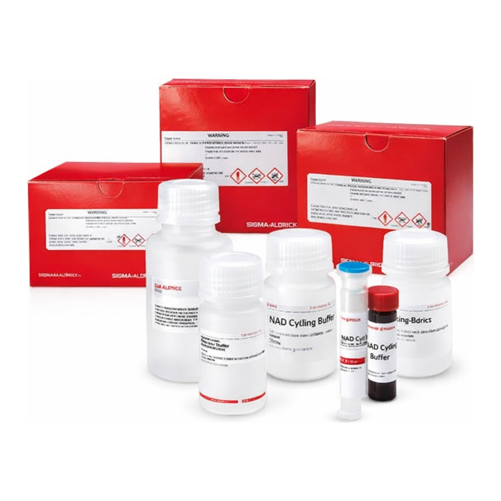 Merck CATHEPSIN B  INHIBITOR SCREENING KIT