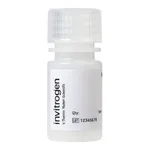 Thermo Fisher Scientific FluoSpheres Amine-Modified Microspheres, 1.0 μm, yellow-green fluorescent (505/515), 2% solids