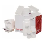Thermo Fisher Scientific PureLink Pro 96 PCR Purification Kit
