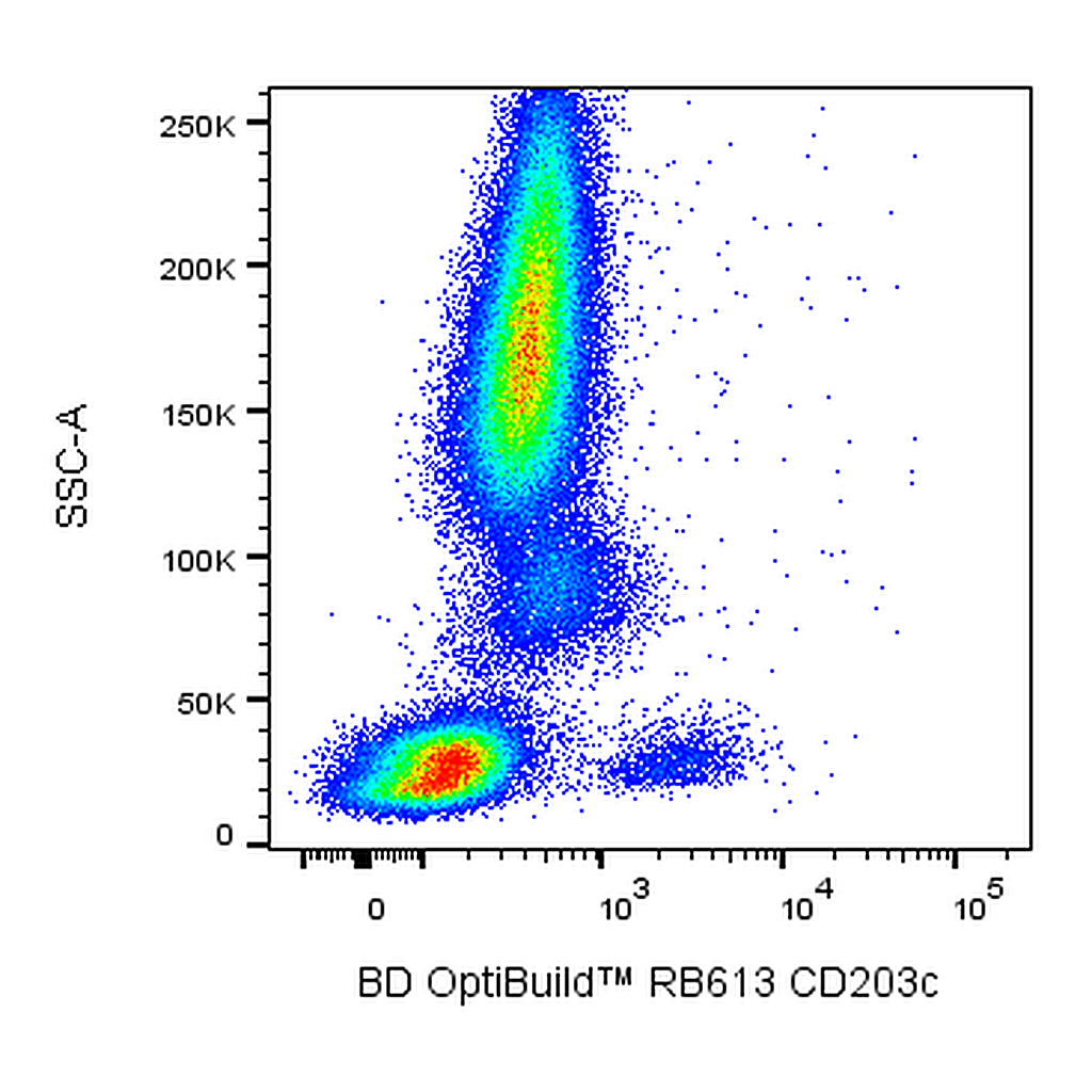 BD RB613 Mouse Anti-Human CD203c