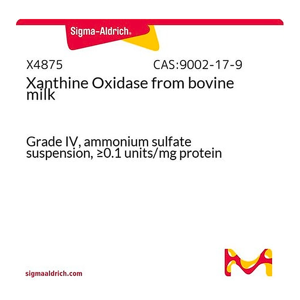 Merck Xanthine Oxidase from bovine milk