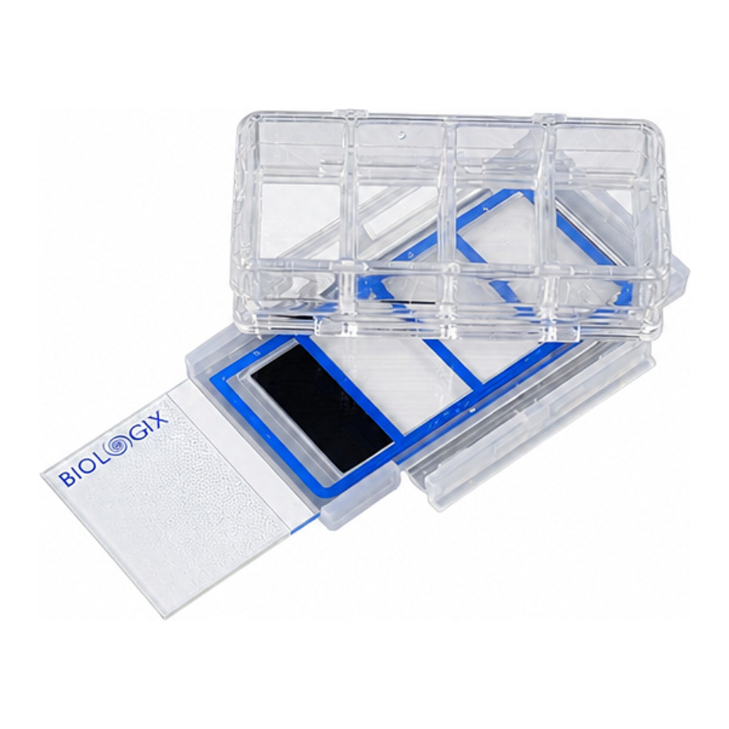 Cell Culture Slides