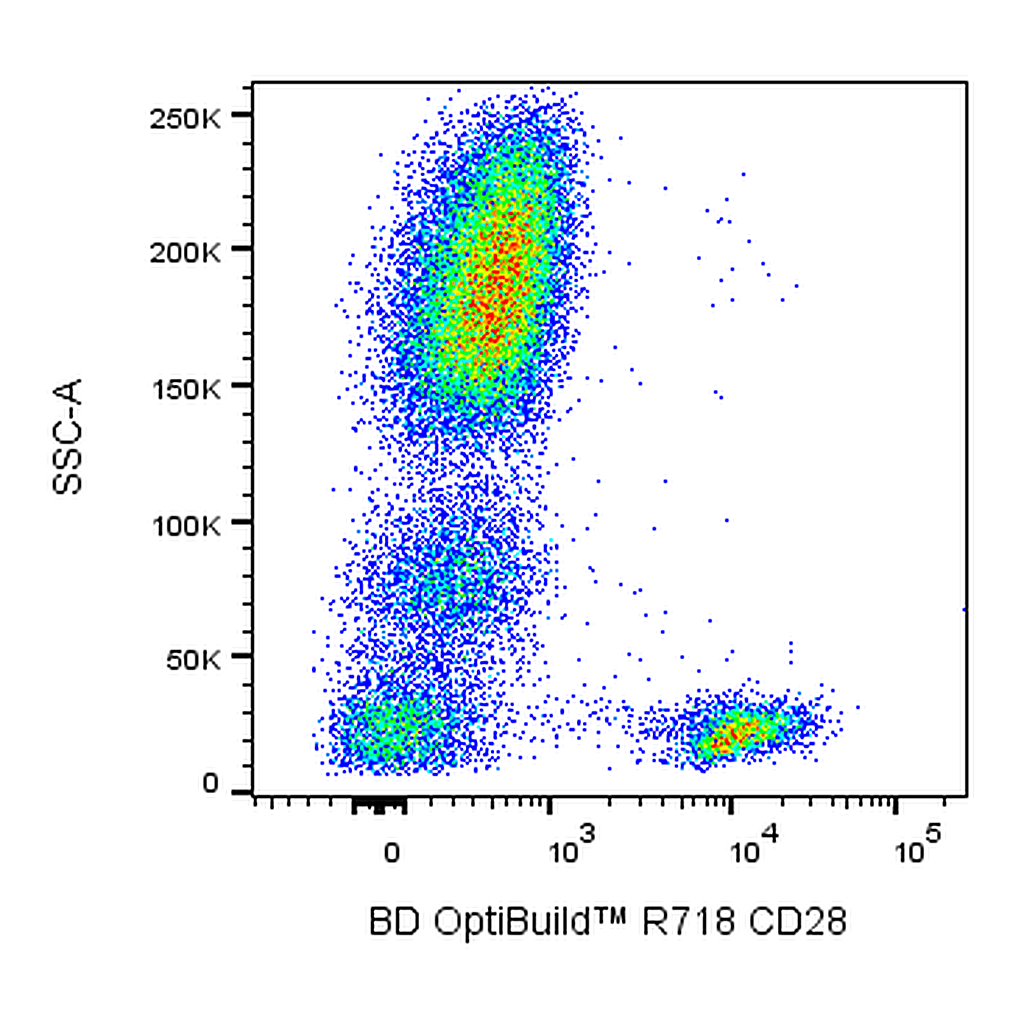 BD R718 Mouse Anti-Human CD28