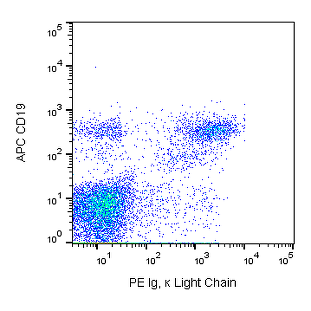 BD PE Mouse Anti-Human Ig κ Light Chain