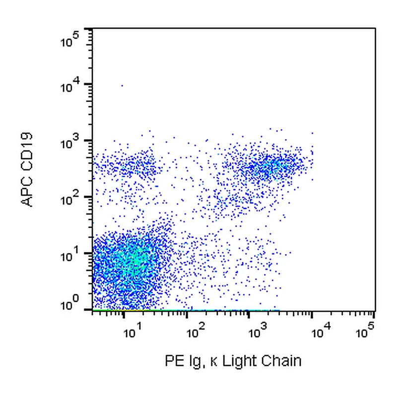 BD PE Mouse Anti-Human Ig κ Light Chain