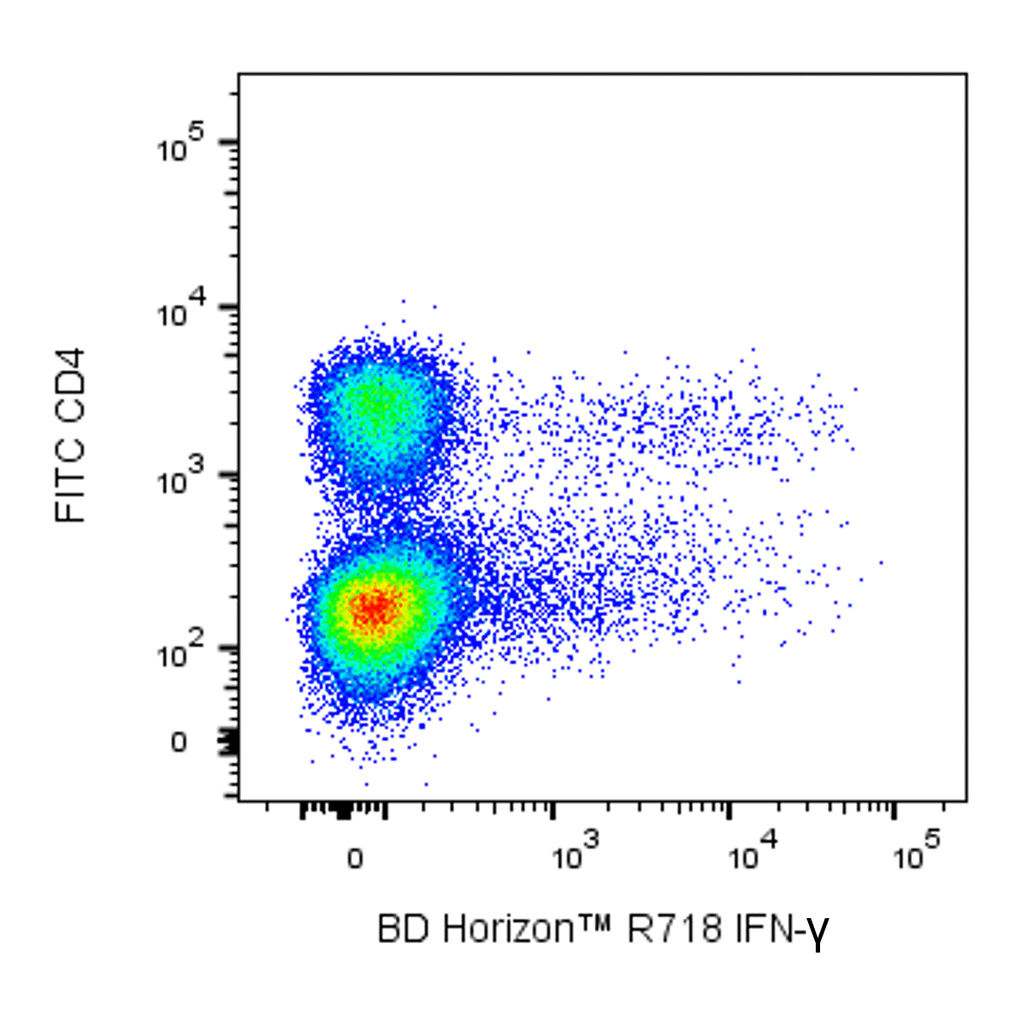 BD R718 Rat Anti-Mouse IFN-γ