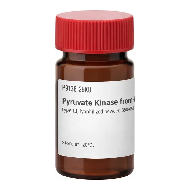 Merck Pyruvate Kinase from rabbit muscle