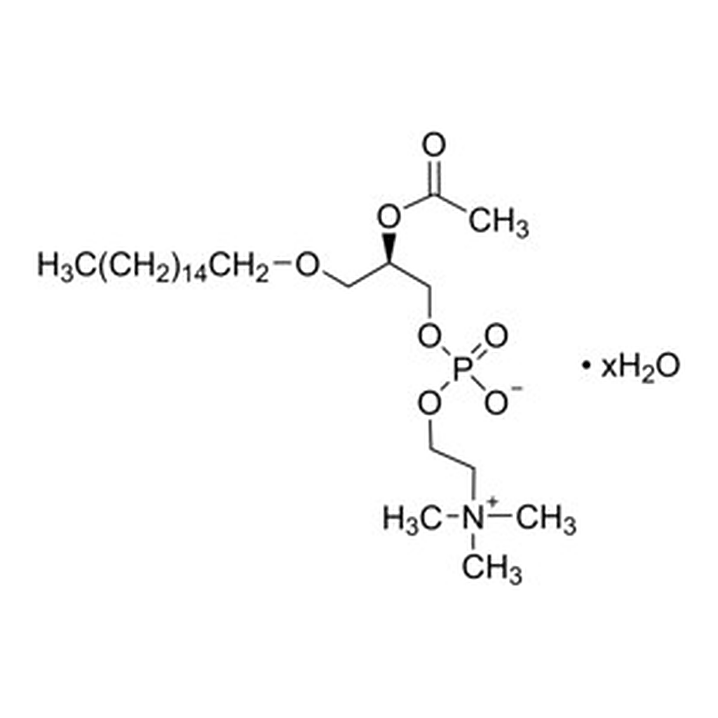 Merck BETA-ACETYL-GAMMA-O-HEXADECYL-L-ALPHA&