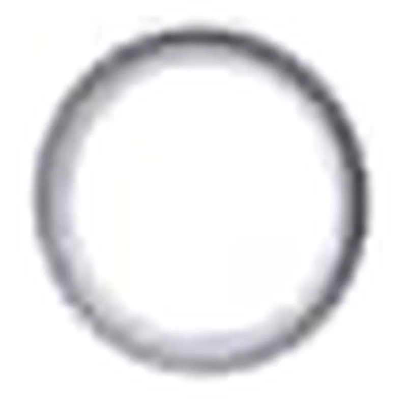 Waters O-Ring, Ion Block, FKM, AS016, 10/pk