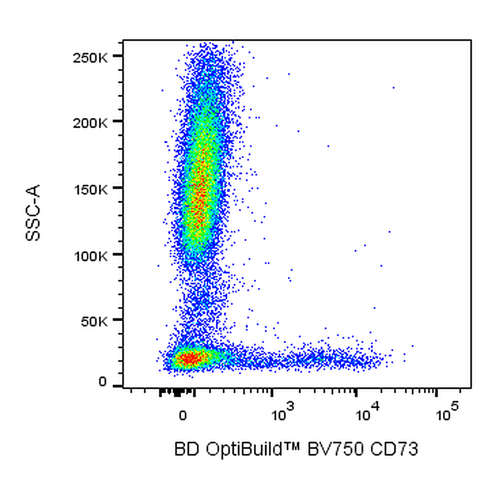 BD BV750 Mouse Anti-Human CD73