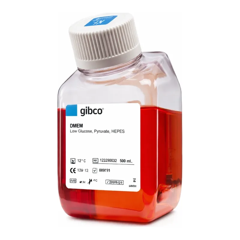 Thermo Fisher Scientific DMEM, low glucose, pyruvate, HEPES
