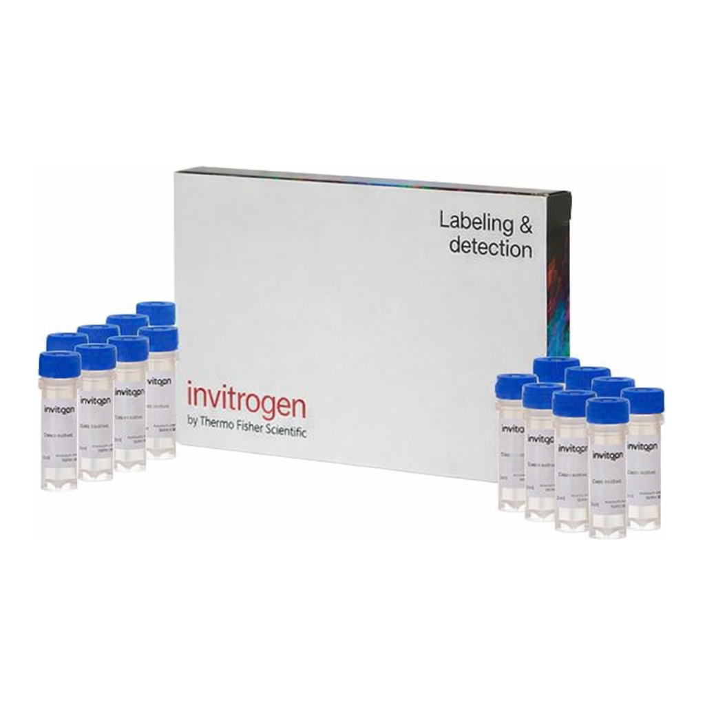 Thermo Fisher Scientific Mag-Fura-2, AM, cell permeant, 20 x 50ug