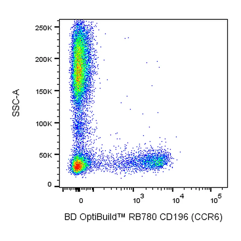 BD RB780 Mouse Anti-Human CD196 (CCR6)
