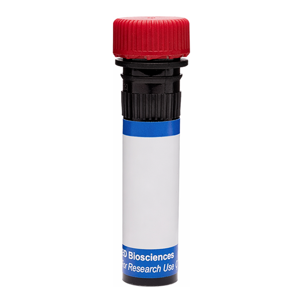 BD RB670 Mouse Anti-Human Delta-Like Protein 1 (DLL1)