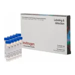 Thermo Fisher Scientific Fluo-5F, AM, cell permeant - Special Packaging